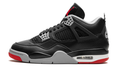 Air Jordan 4 Bred Reimagined FV5029 006