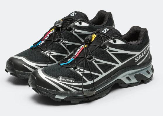 XT-6 GTX - BlackFootwear Silver