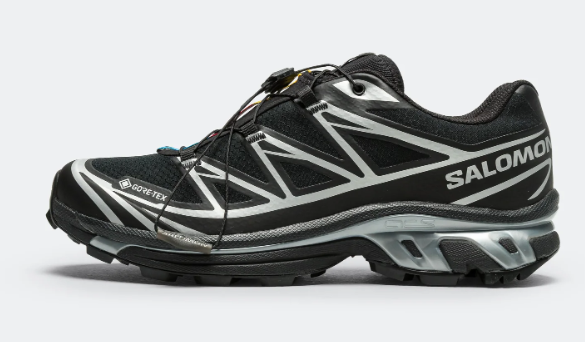 XT-6 GTX - BlackFootwear Silver